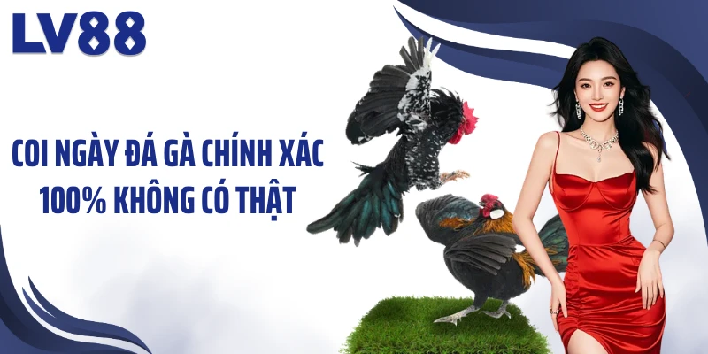 Coi ngày đá gà chính xác 100% không có thật