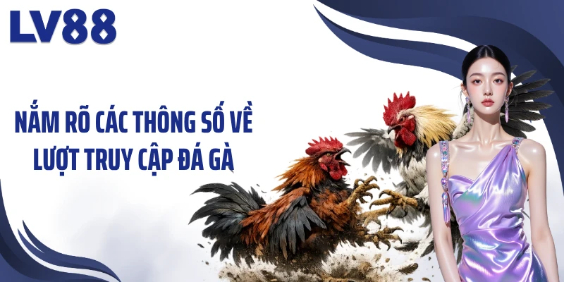 Đá Gà LV88 – 24H Theo Dõi Những Màn So Tài Sôi Động 3 Nắm rõ các thông số về lượt truy cập đá gà